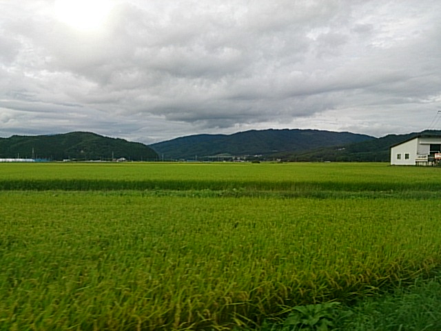 駅から、少し離れると山や畑が広がる。<br> | 授業　時間割 | 東京校ブログ | 大学生・既卒生の就活・起業支援や人間力を鍛える志塾、ＪＶＵ・日本ベンチャー大學