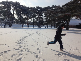 雪やこんこ。庭駆け回る牛島くん。<br><br> | 授業　時間割 | 東京校ブログ | 大学生・既卒生の就活・起業支援や人間力を鍛える志塾、ＪＶＵ・日本ベンチャー大學