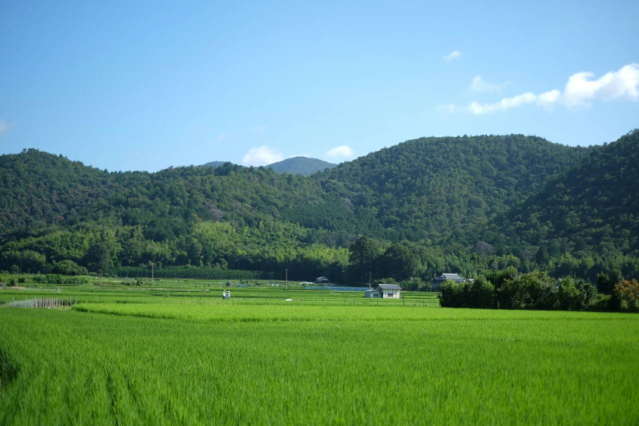 ↑広沢池近くの田園風景。<br>
本当に美しいです。<br><br> | 授業　時間割 | 東京校ブログ | 大学生・既卒生の就活・起業支援や人間力を鍛える志塾、ＪＶＵ・日本ベンチャー大學